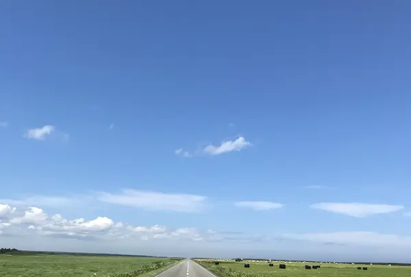 日の出岬の写真・動画_image_213913