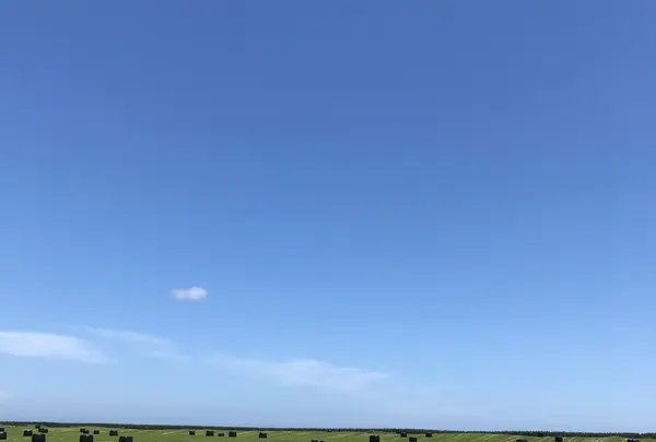 日の出岬の写真・動画_image_213914