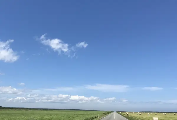 日の出岬の写真・動画_image_213915