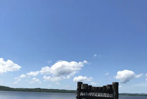 日の出岬の写真・動画_image_213919