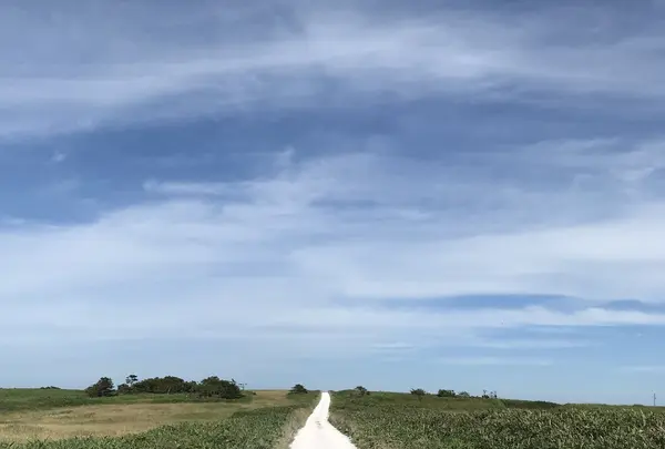 日の出岬の写真・動画_image_213921