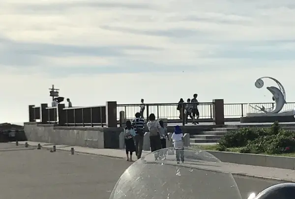 日の出岬の写真・動画_image_213924