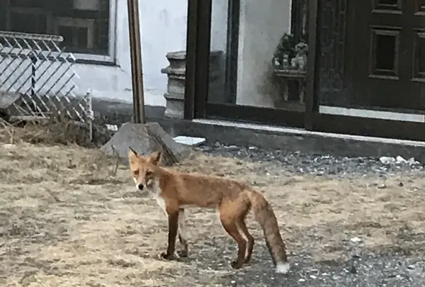 日の出岬の写真・動画_image_213926