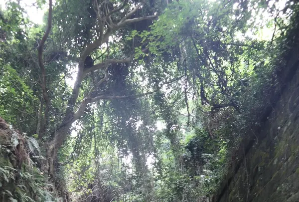 猿島の写真・動画_image_213939