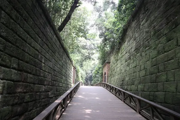 猿島の写真・動画_image_213940