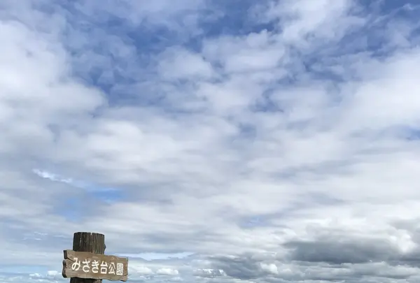 抜海港の写真・動画_image_213997