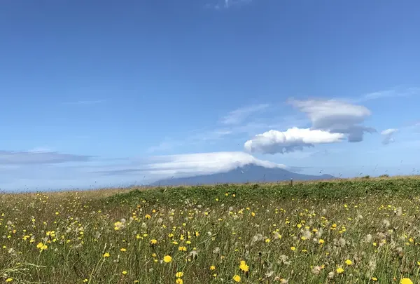 抜海港の写真・動画_image_214006
