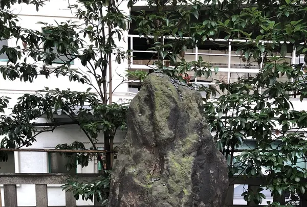 兜神社の写真・動画_image_214044