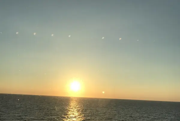 新日本海フェリー 小樽フェリーターミナルの写真・動画_image_214059