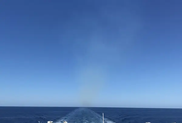 新日本海フェリー 小樽フェリーターミナルの写真・動画_image_214062
