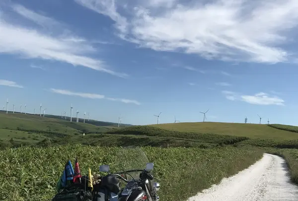 日の出岬の写真・動画_image_214089