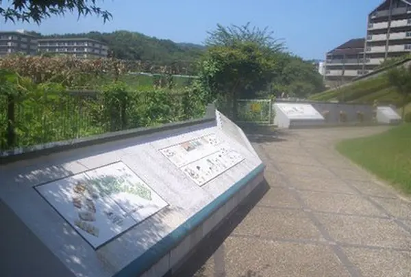 史跡新池ハニワ工場公園の写真・動画_image_214106