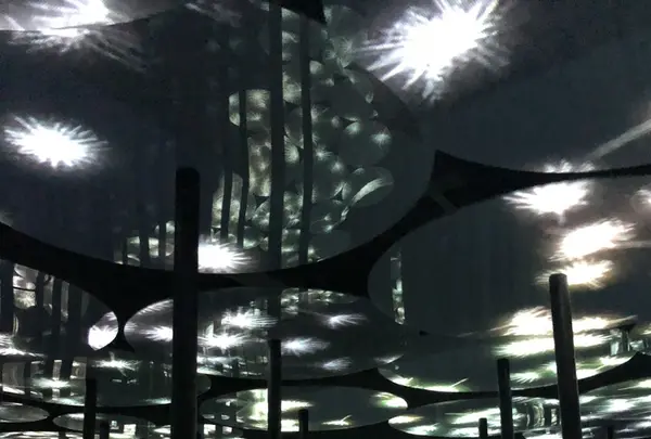 【閉業】森ビルデジタルアートミュージアム：エプソン チームラボボーダレス（MORI Building Digital Art Museum: EPSON teamLab Borderless）の写真・動画_image_214207