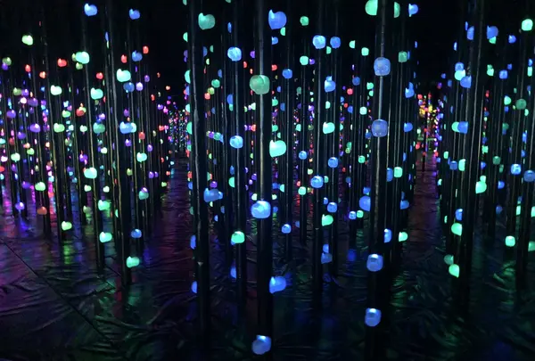 【閉業】森ビルデジタルアートミュージアム：エプソン チームラボボーダレス（MORI Building Digital Art Museum: EPSON teamLab Borderless）の写真・動画_image_214208