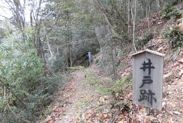 長水城の写真・動画_image_214425