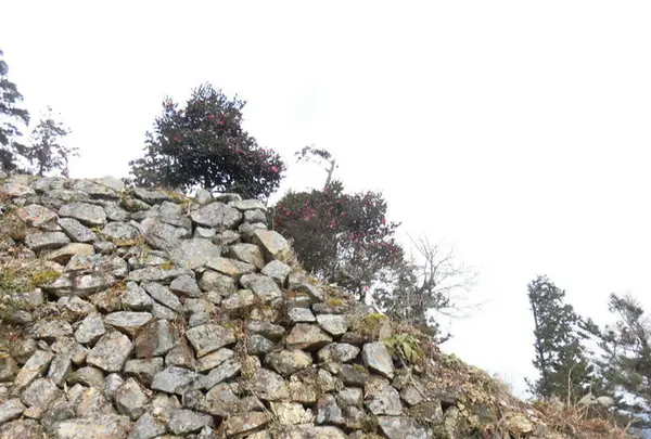 真徳寺の写真・動画_image_214427