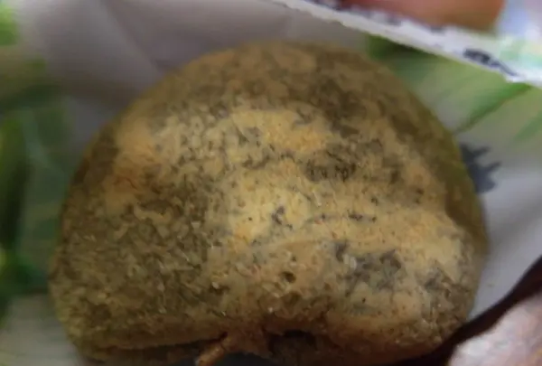 生谷温泉　伊沢の里の写真・動画_image_214431