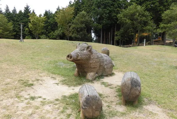 県立国見の森公園の写真・動画_image_214442
