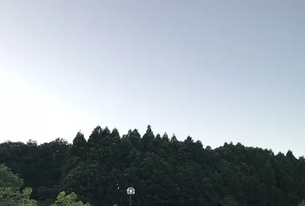 加護坊温泉「さくらの湯」の写真・動画_image_214470
