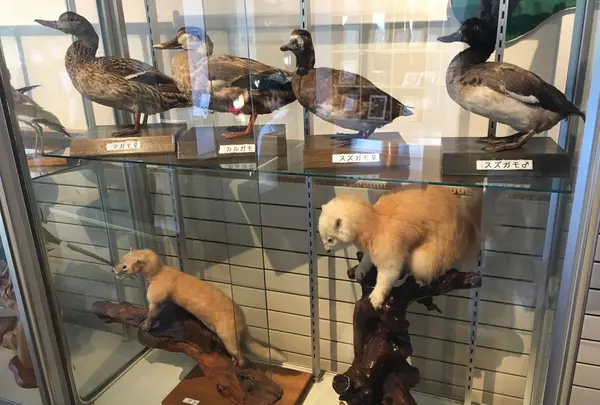 松尾八幡平ビジターセンターの写真・動画_image_214533