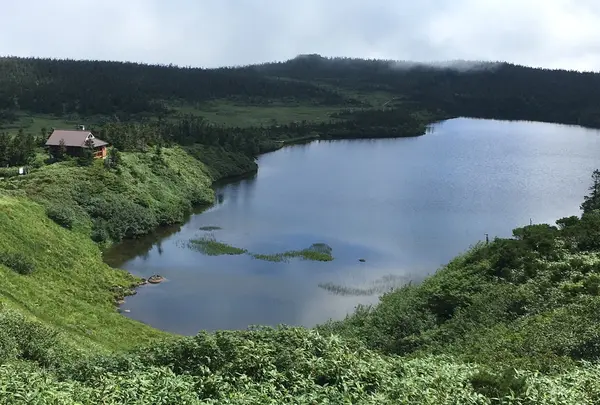 八幡平山頂レストハウスの写真・動画_image_214564