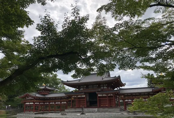 平等院の写真・動画_image_214642