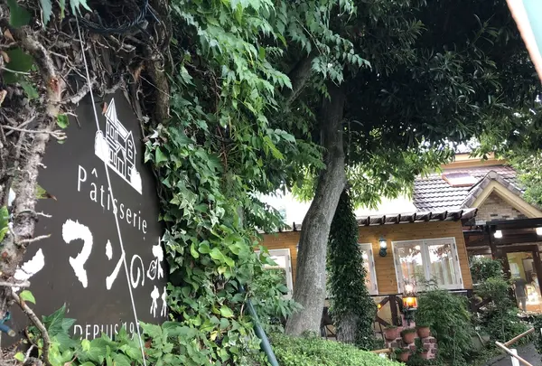 レマンの森の写真・動画_image_214694