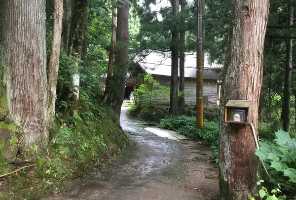 おおかみこどもの花の家の写真・動画_image_214768