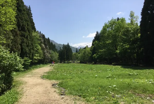 立山博物館まんだら遊苑の写真・動画_image_214803