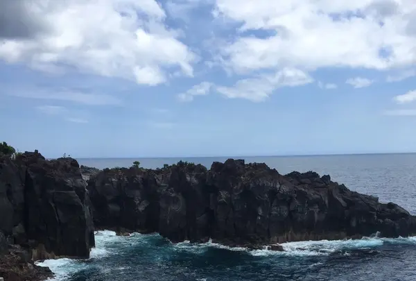 城ヶ崎海岸の写真・動画_image_214806