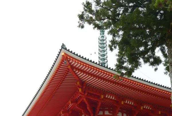 壇上伽藍の写真・動画_image_214896