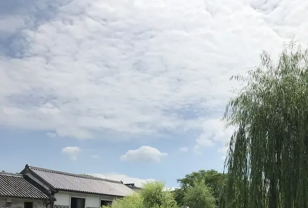 倉敷美観地区の写真・動画_image_215109