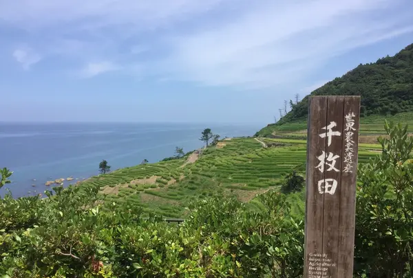 金沢市の写真・動画_image_215195