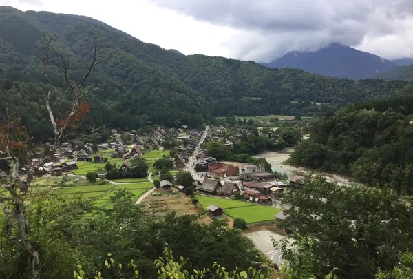 白川の写真・動画_image_215199