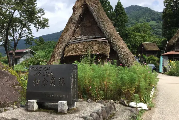 白川の写真・動画_image_215200
