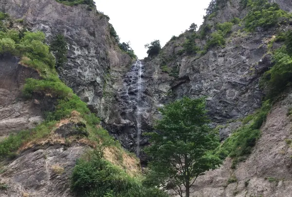 白川の写真・動画_image_215201