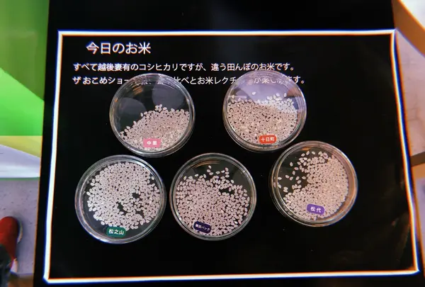 ザおこめショーの写真・動画_image_215296