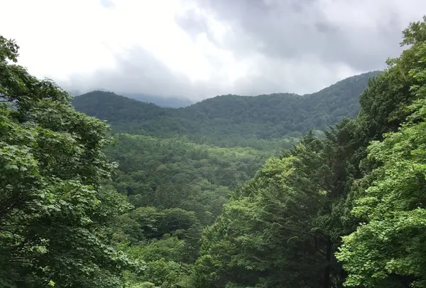湯滝の写真・動画_image_215373