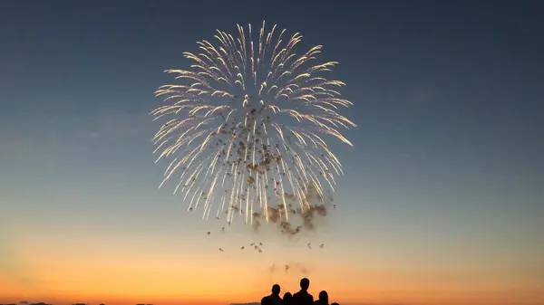 長岡まつり大花火大会の写真・動画_image_215541