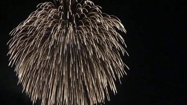 長岡まつり大花火大会の写真・動画_image_215544