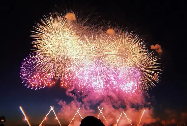 長岡まつり大花火大会の写真・動画_image_215545