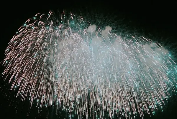 長岡まつり大花火大会の写真・動画_image_215547