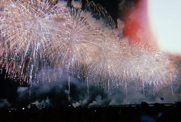 長岡まつり大花火大会の写真・動画_image_215548