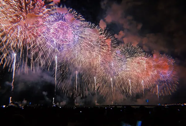 長岡まつり大花火大会の写真・動画_image_215549