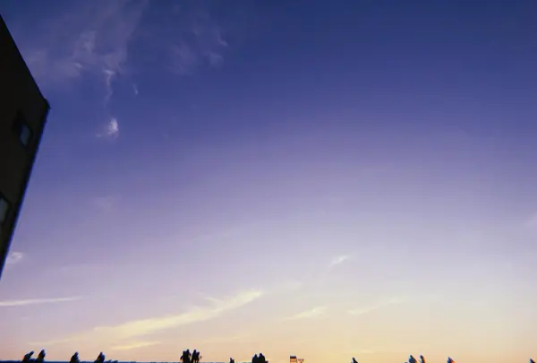 長岡まつり大花火大会の写真・動画_image_215550