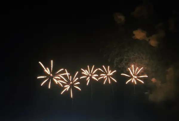 長岡まつり大花火大会の写真・動画_image_215551