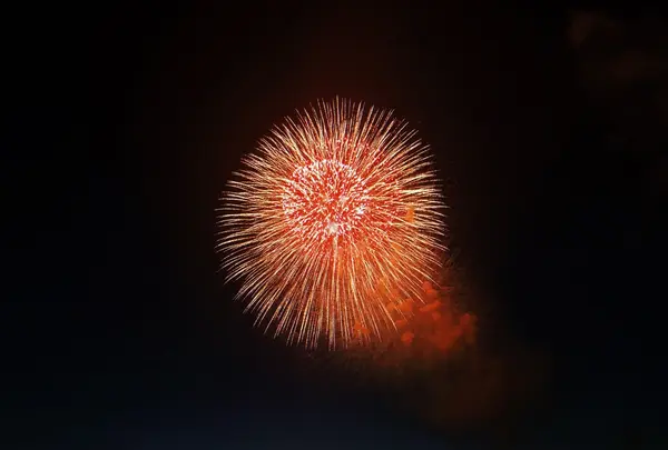 長岡まつり大花火大会の写真・動画_image_215553