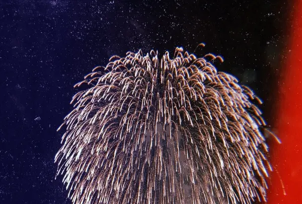 長岡まつり大花火大会の写真・動画_image_215554