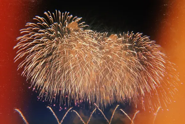 長岡まつり大花火大会の写真・動画_image_215555