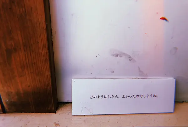 絵本と木の実の美術館の写真・動画_image_215612